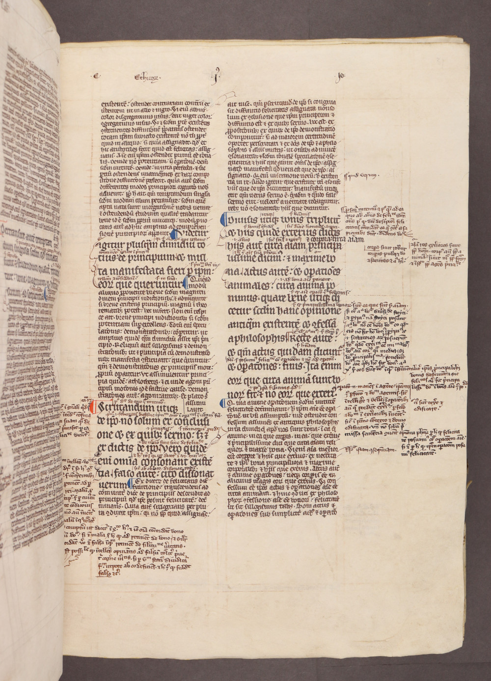 Folio 31 recto